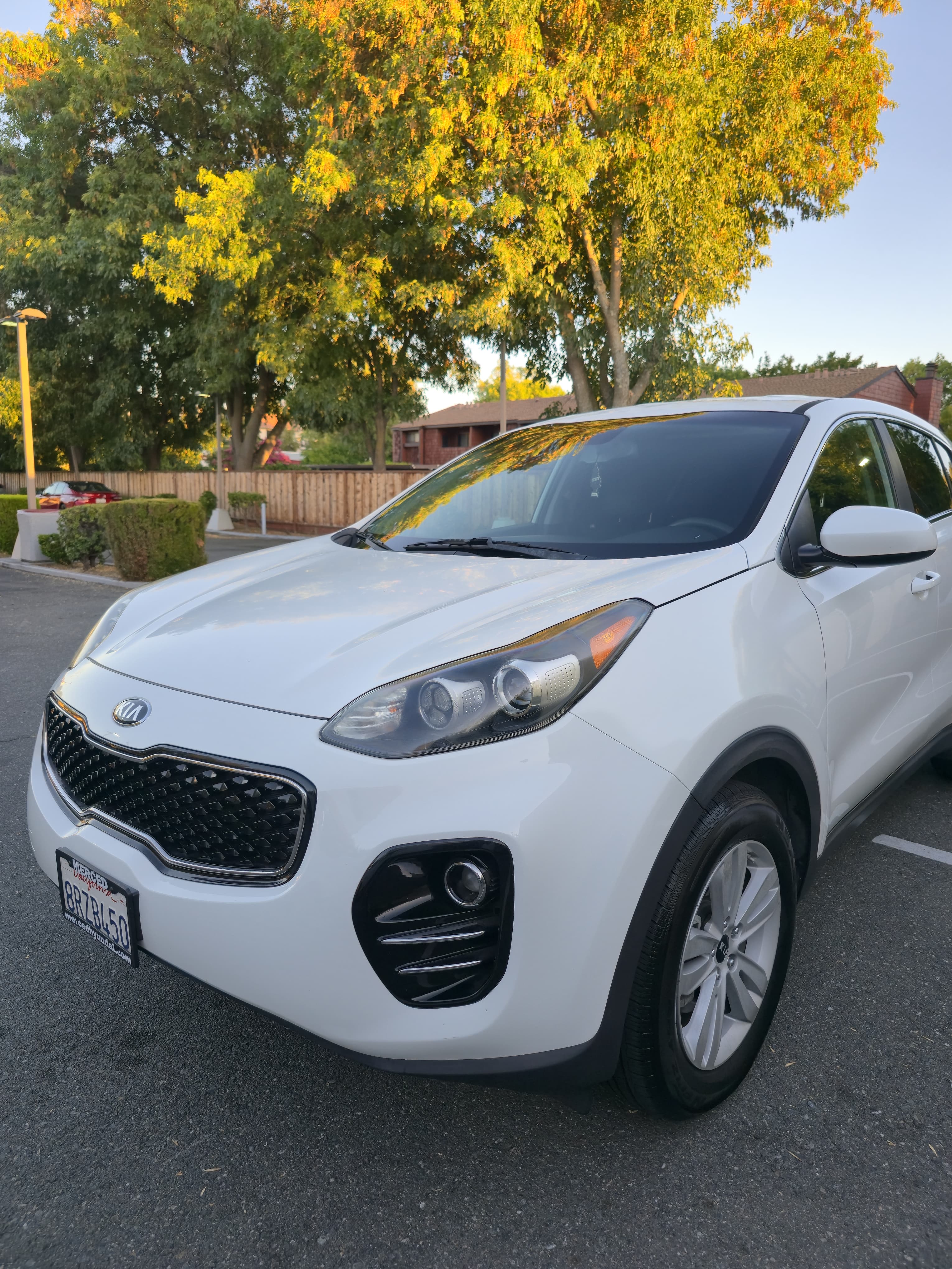 2017 Kia Sportage LX thumbnail 3