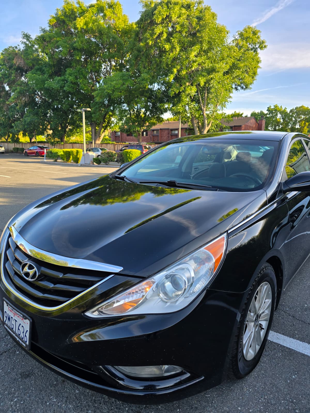 2013 Hyundai Sonata SE thumbnail 2