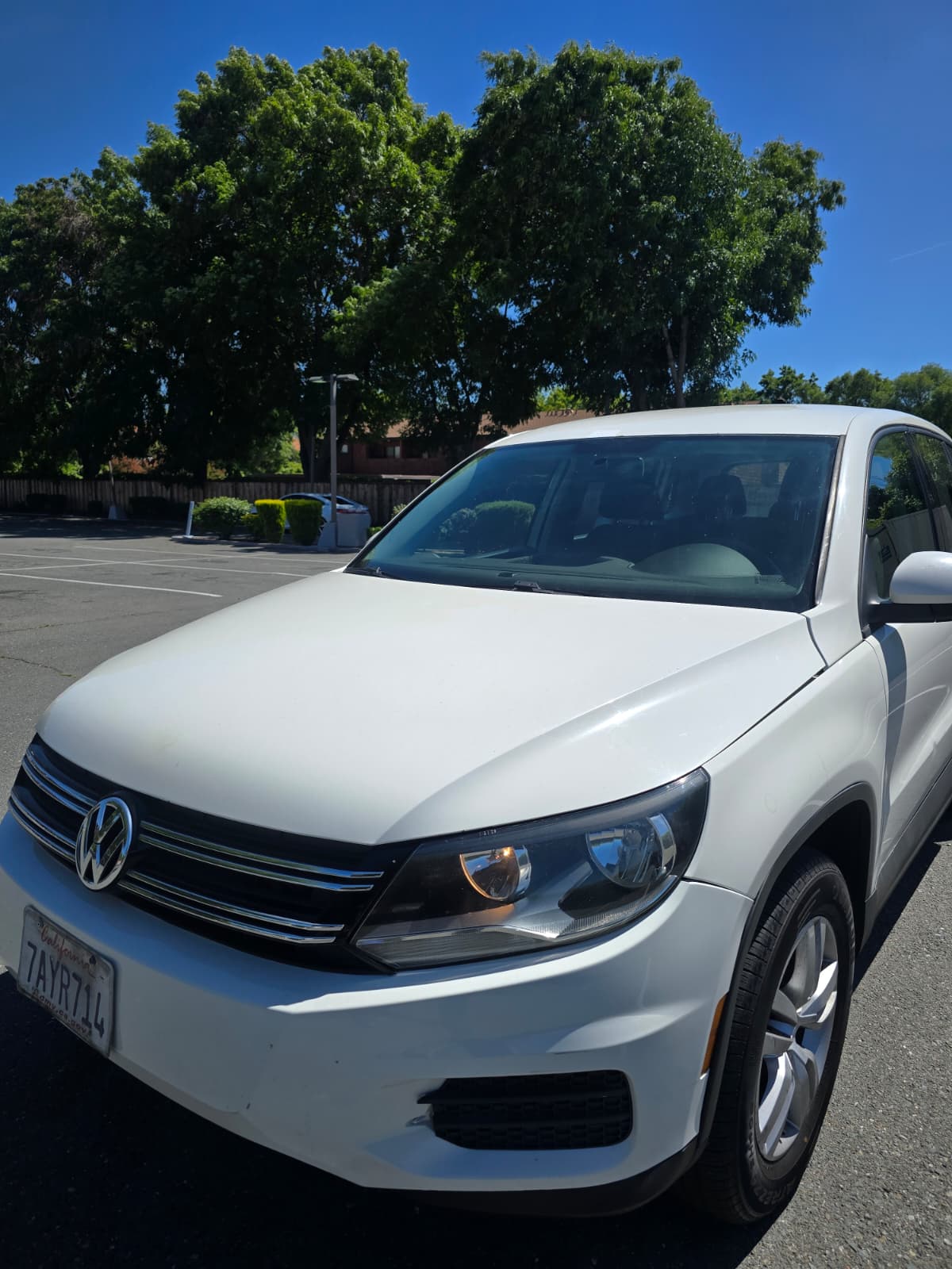 2013 Volkswagen Tiguan S thumbnail 2