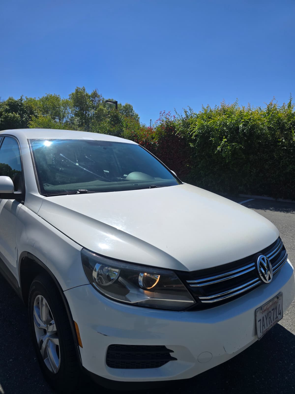 2013 Volkswagen Tiguan S thumbnail 3